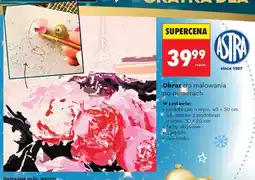 Biedronka obraz do malowania po numerach oferta