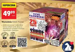 Biedronka Wyrzutnia Silent Power oferta