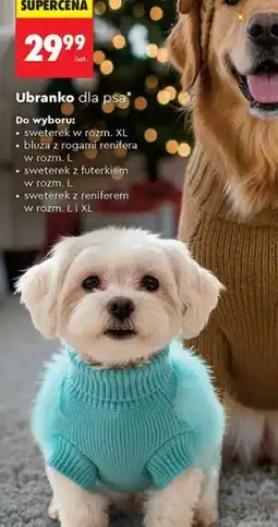Biedronka Ubranko dla psa (do wyboru) oferta