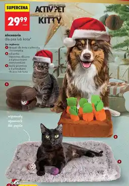 Biedronka Akcesoria dla psa lub kota oferta