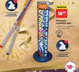 Biedronka Wyrzutnia rzymskich ogni oferta