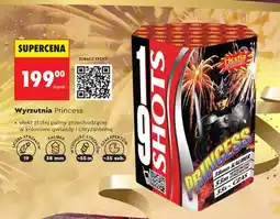 Biedronka Wyrzutnia Pricess oferta