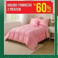 Biedronka Kołdry i poduszki z pierzem oferta