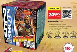 Biedronka Wyrzutnia King oferta