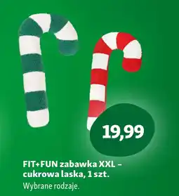 Maxi Zoo Zabawka Fit+Fun oferta