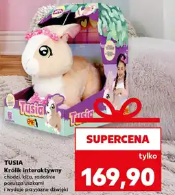 Kaufland Zabawka interaktywna Tusia oferta