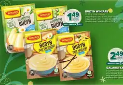 Stokrotka Budyń Winiary różne rodzaje oferta