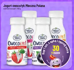 Polomarket Jogurt owocowy Owocołyk Mleczna Polana oferta
