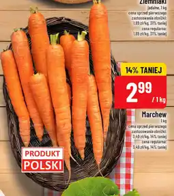 Polomarket Marchew oferta