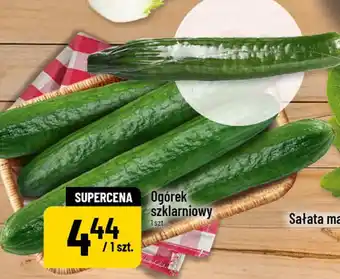 Polomarket Ogórek szklarniowy oferta