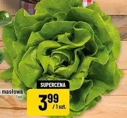 Polomarket Sałata masłowa oferta