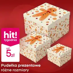 Pepco Pudełko prezentowe Hit oferta