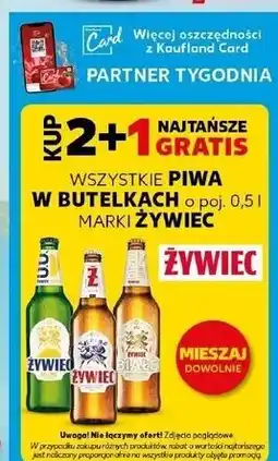 Kaufland Wszystkie piwa w butelkach marki Żywiec oferta
