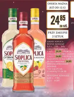 Dino Likier Soplica (różne rodzaje) oferta