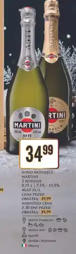 Dino Wino musujące Martini oferta