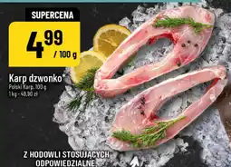 Polomarket Karp dzwonko oferta