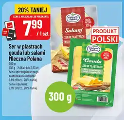 Polomarket Ser w plastrach gouda lub salami Mleczna Polana oferta