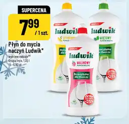 Polomarket Płyn do mycia naczyń Ludwik oferta