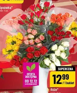 Polomarket Róże oferta