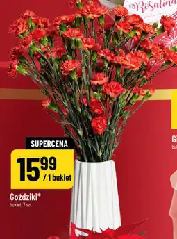 Polomarket Goździki oferta