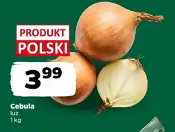 Netto Cebula luz Netto oferta