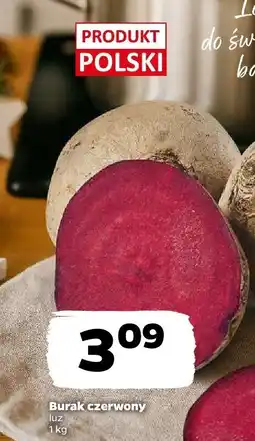 Netto Burak czerwony luz Netto oferta