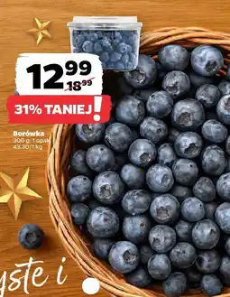 Netto Borówka Netto oferta