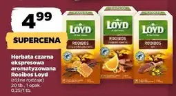 Netto Herbata czarna ekspresowa aromatyzowana Rooibos Loyd (różne rodzaje) oferta