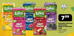 Netto Herbatka owocowa ekspresowa Dobry & Owocowy Loyd (różne rodzaje) oferta