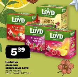 Netto Herbatka owocowa ekspresowa Loyd (różne rodzaje) oferta
