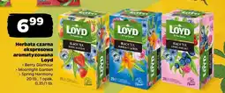 Netto Herbata czarna ekspresowa aromatyzowana Loyd Berry Glamour, Moonlight Garden, Spring Harmony oferta
