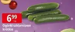 E.Leclerc Ogórki szklarniowe krótkie oferta