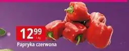 E.Leclerc Papryka czerwona oferta