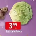 E.Leclerc Sałata lodowa oferta