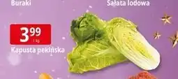 E.Leclerc Kapusta pekińska oferta