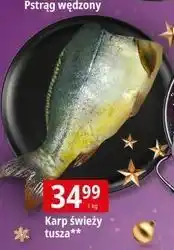 E.Leclerc Karp świeży, tusza oferta