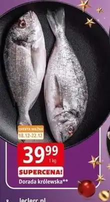 E.Leclerc Dorada królewska oferta