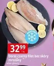 E.Leclerc Dorsz czarny filet bez skóry oferta