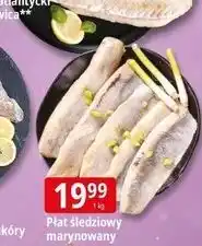E.Leclerc Płat śledziowy marynowany oferta