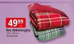 E.Leclerc Koc dekoracyjny oferta