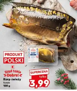 Kaufland Karp świeży tusza 100 g oferta