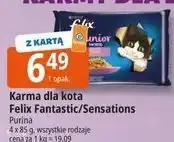 E.Leclerc Karma dla kota Felix Fantastic/Sensations oferta