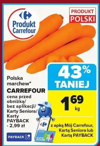 Carrefour Marchew Polska Carrefour oferta