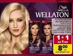 Carrefour Krem koloryzujący 5/77 kakao Wellaton oferta