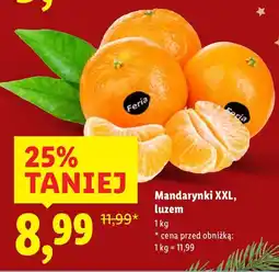 Lidl Mandarynki XXL luzem Lidl oferta