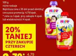Lidl Mus owocowy HiPP BIO oferta