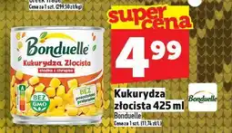 Topaz Kukurydza Złocista Bonduelle 425 ml oferta
