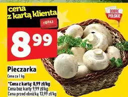 Topaz Pieczarka TOPAZ oferta