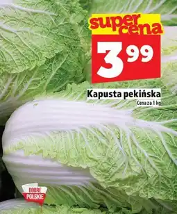 Topaz Kapusta pekińska TOPAZ oferta