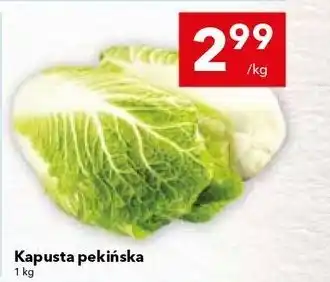 Lewiatan Kapusta pekińska oferta